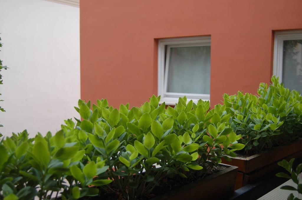 Buda Castle Apartments Βουδαπέστη Δωμάτιο φωτογραφία